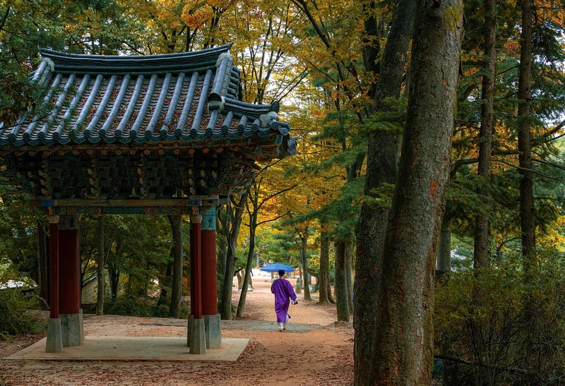 1등급 가전 환급 전국민