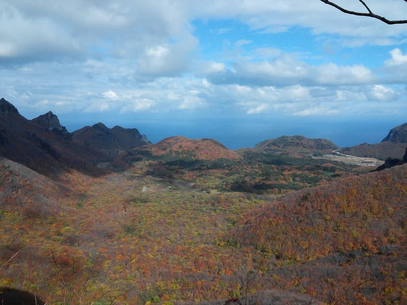 민생추경