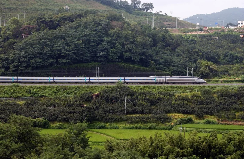 ktx 입석