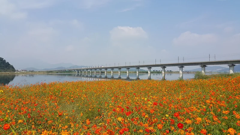 ktx 화장실