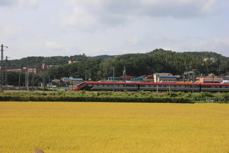 코레일 채용